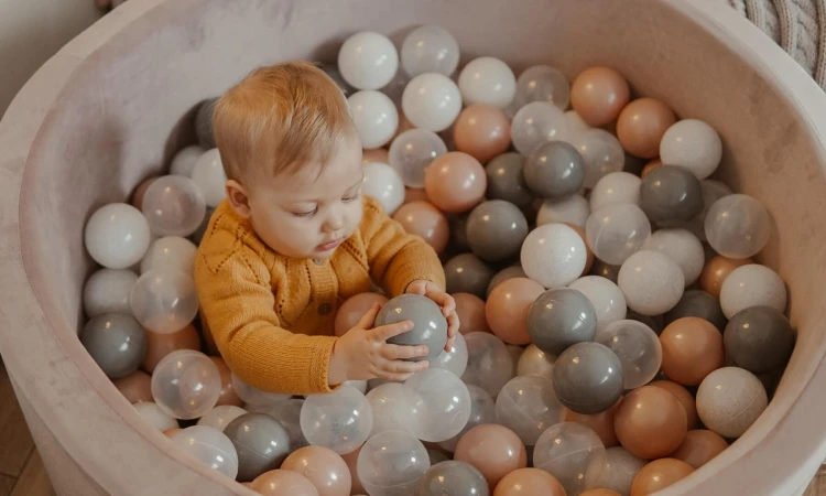 55618.jpg