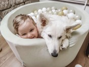 93416.jpg