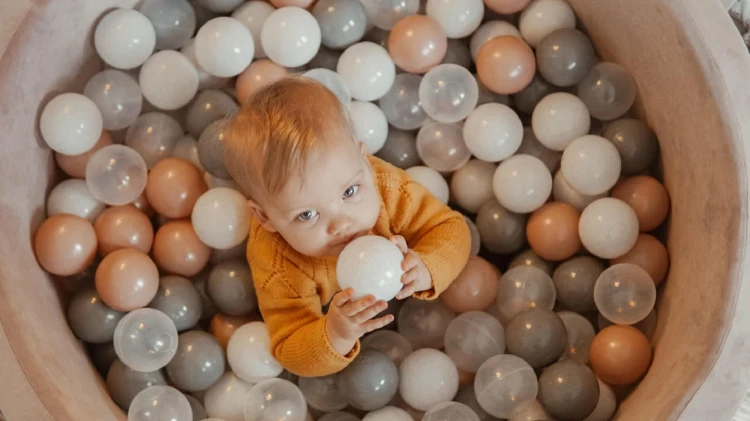 81570.jpg