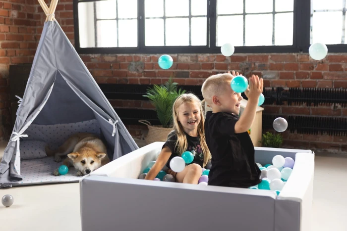 b7cda6a960445954f371.jpg