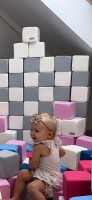 6ca00e88ce2283bdb511.jpg