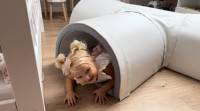 65f19fb2e50a233f5187.jpg