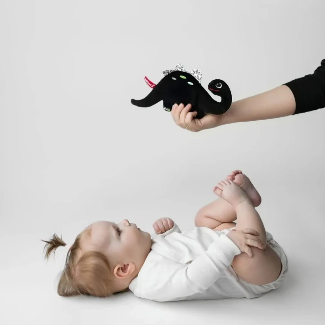 Szmatka sensoryczna Dinozaur kontrastowa szeleszcząca - Mom's Care 0+