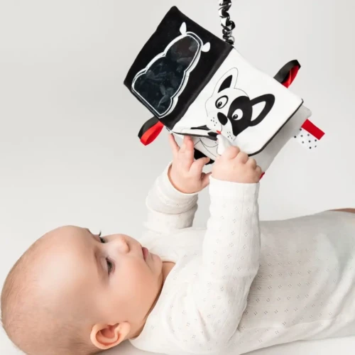 Książeczka sensoryczna Kto to? Co to? - Mom's Care 0+