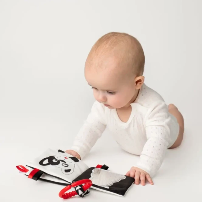 Książeczka sensoryczna Kto to? Co to? - Mom's Care 0+